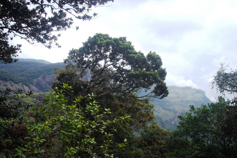 Sri Lanka, Adam’s Peak, Sri Pada